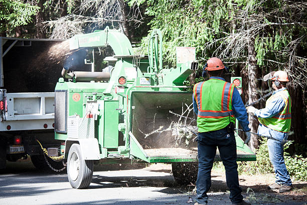 Best Seasonal Cleanup (Spring/Fall)  in Jean Fitte, LA